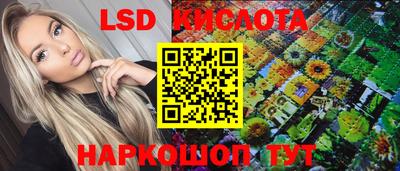 Альфа ПВП Кандалакша