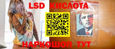 Альфа ПВП Кандалакша