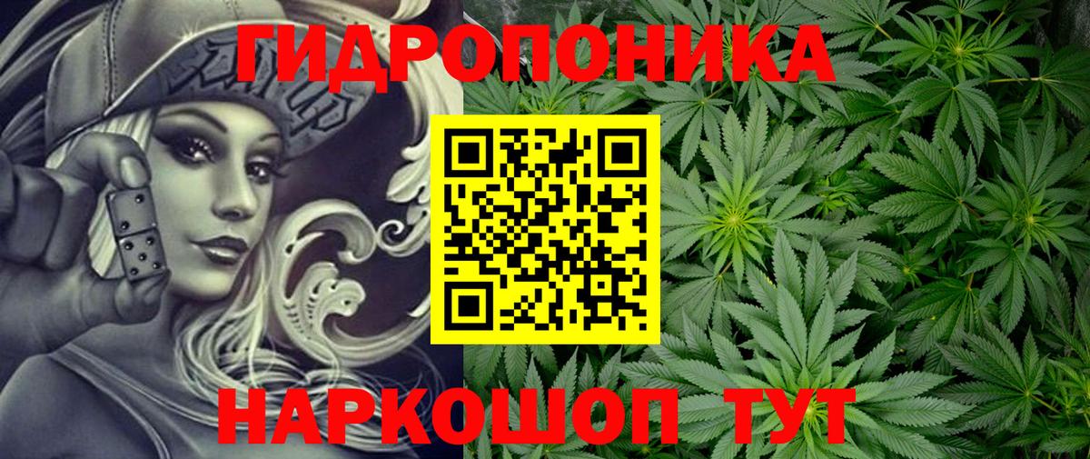 Кудрово  Каннабис VHQ  Вход с VPN  Марихуана семена  Конопля White Widow  Бошки марихуана Amnesia 